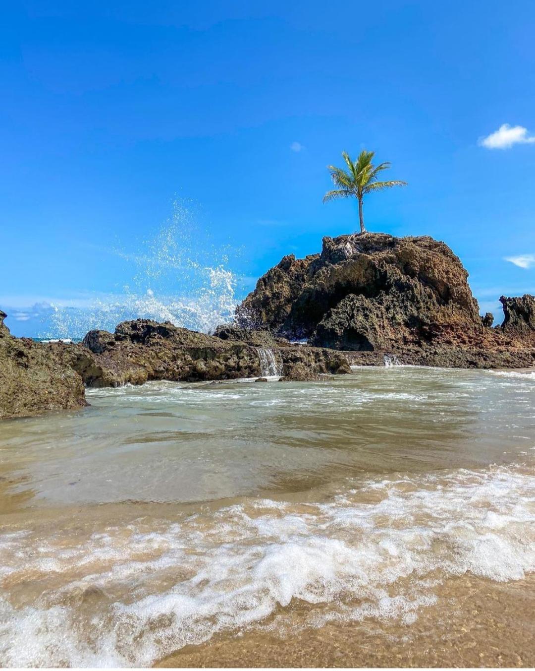 Apartamento Paraiso Em Jacuma